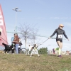 Imágenes de la II Canicross Ciudad de Badajoz II