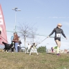 Imágenes de la II Canicross Ciudad de Badajoz II