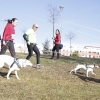 Imágenes de la II Canicross Ciudad de Badajoz II