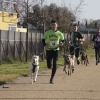 Imágenes de la II Canicross Ciudad de Badajoz II