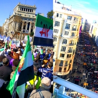 Gran representación extremeña en la manifestación de interinos en Madrid