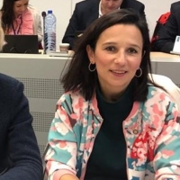 Extremadura representa a las CCAA en el Comité de Protección Civil de la UE