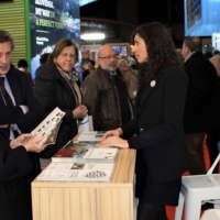 Las ciudades Patrimonio de la Humanidad se promocionan en Bélgica