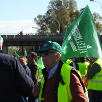 APAG: “Parece que el Gobierno está echando un pulso al sector agroganadero”