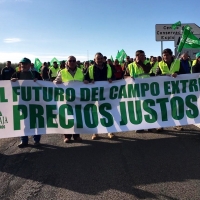 La columna de Almendralejo ya congrega a miles de agricultores