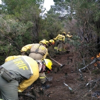 Los bomberos forestales extremeños actúan en un incendio