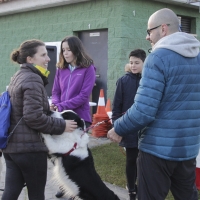 Imágenes de la II Canicross Ciudad de Badajoz I