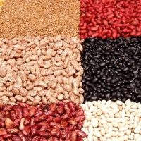 Las legumbres, uno de los alimentos más olvidados de los últimos tiempos