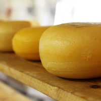 Retiran varios productos lácteos por sus “riesgos para la salud humana”