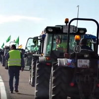 Delegación rebaja la cifra a 5.000 agricultores participantes cuando han podido ser 15.000