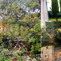 La Asamblea reclama medidas al Gobierno Central por los daños de Elsa