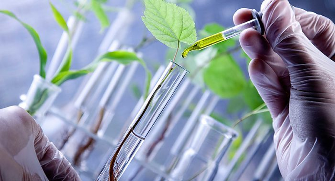 La biotecnología se hace hueco en Extremadura