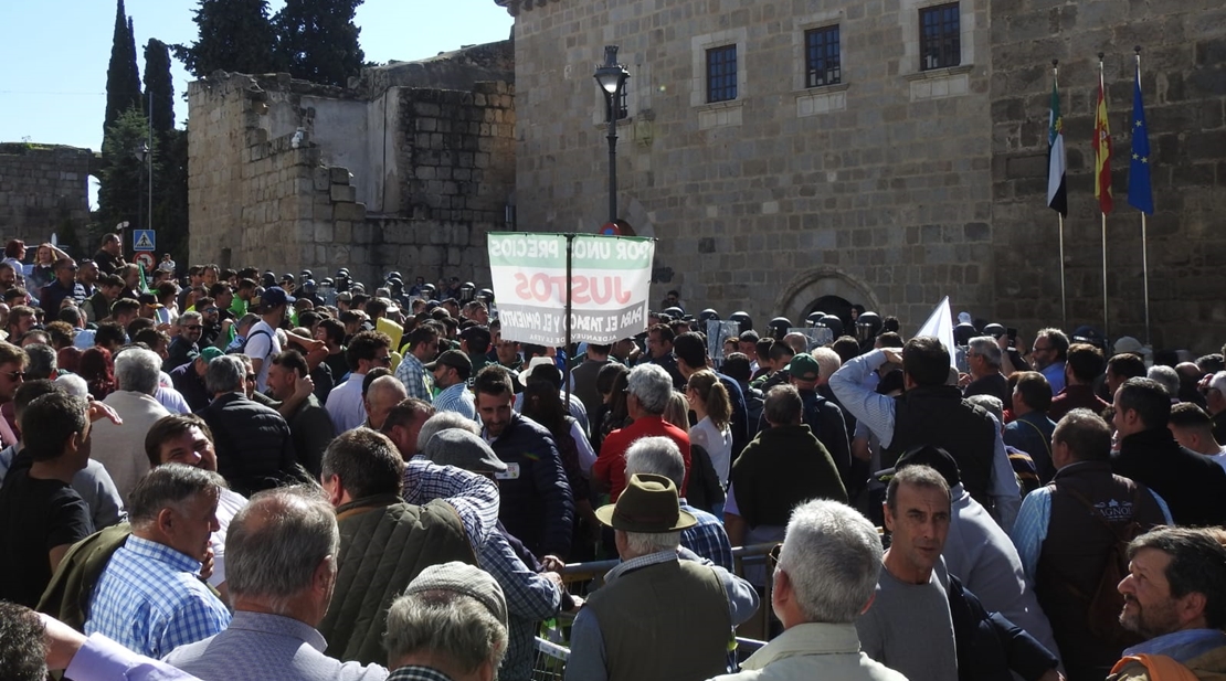 Delegación: “Los autores de los disturbios ya han sido identificados”