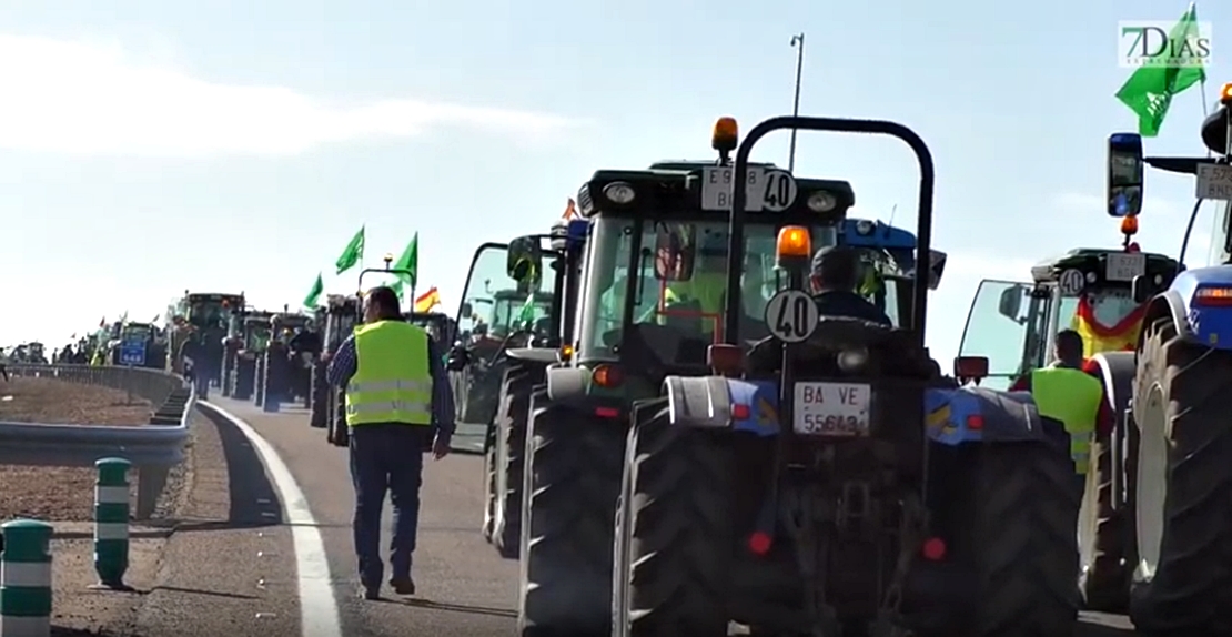 Delegación rebaja las cifras a 5.000 agricultores participantes cuando han podido ser 15.000