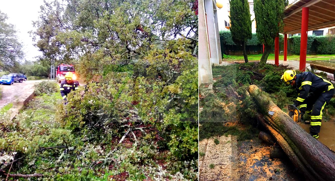 La Asamblea reclama al Gobierno central medidas para paliar los daños de Elsa