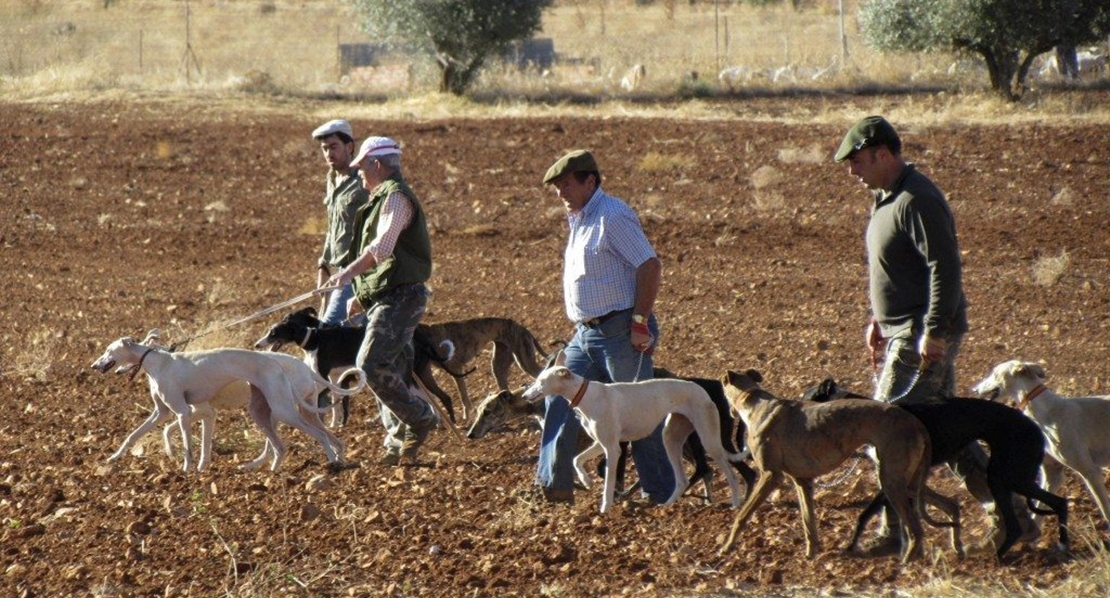 Sorteados 496 permisos de caza en terrenos públicos para 2020