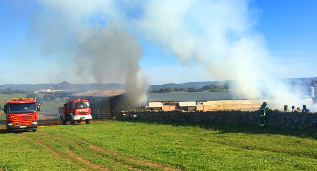 Imágenes del incendio en una nave de alpacas de Burguillos del Cerro (BA)