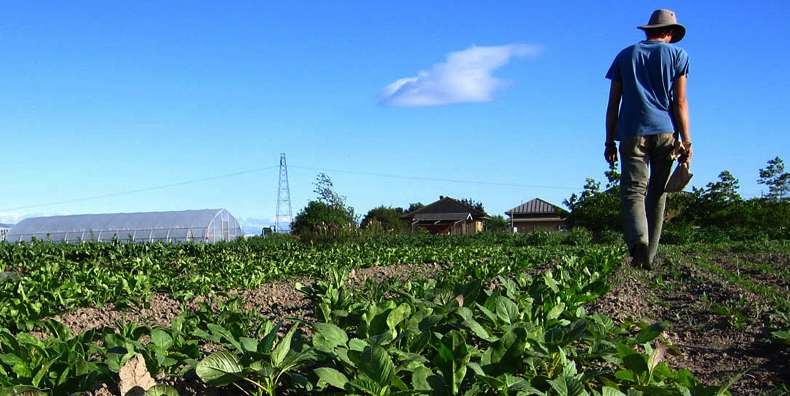 La Junta amplía el plazo para el trámite de las ayudas agroambientales
