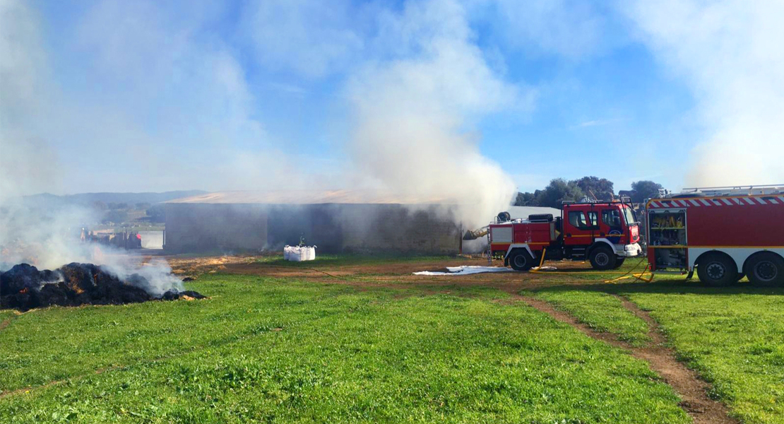 Imágenes del incendio en una nave de alpacas de Burguillos del Cerro (BA)