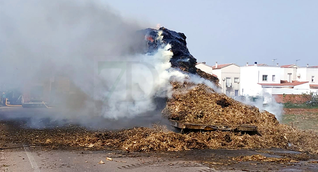 Sale ardiendo en Guareña un tráiler que transportaba alpacas