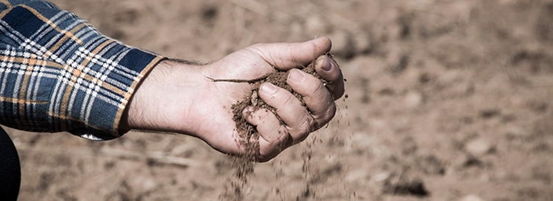 Los agricultores españoles, cada vez más concienciados en proteger sus suelos