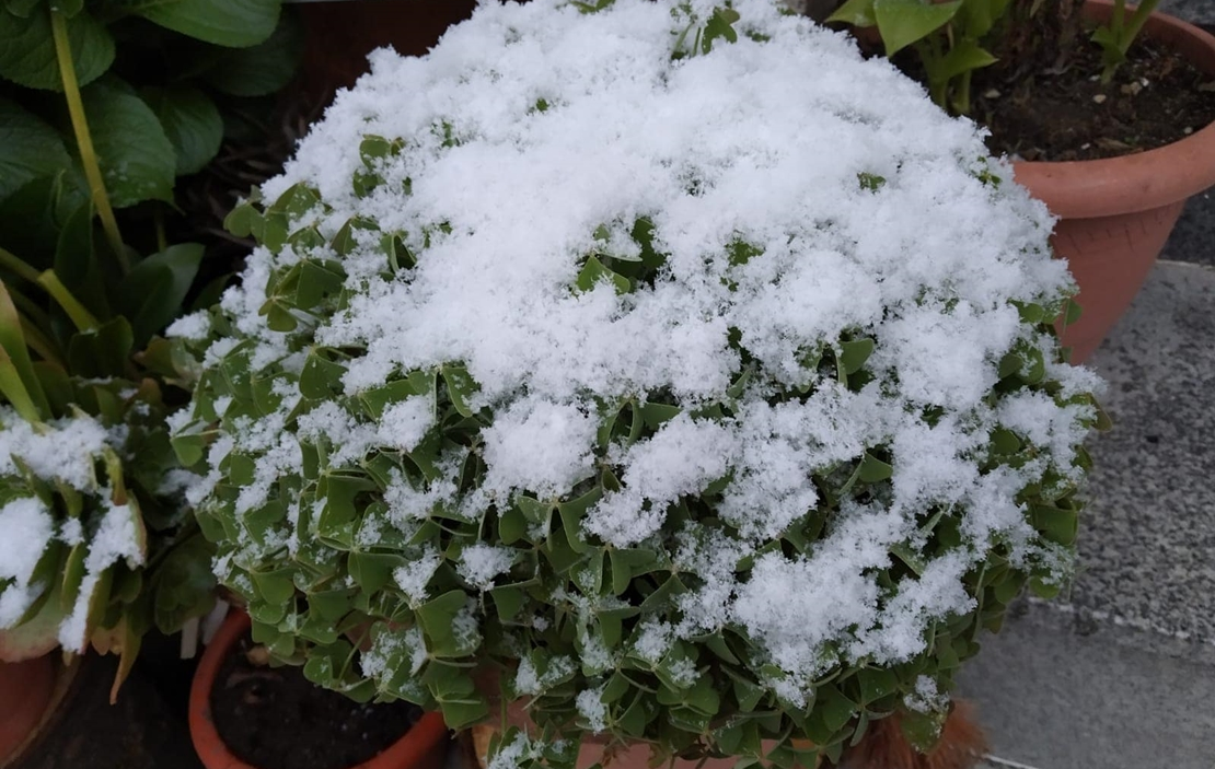 La nieve llega a Extremadura