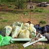 Alumnos de Mérida se preocupan por el medio ambiente con una recogida de basura