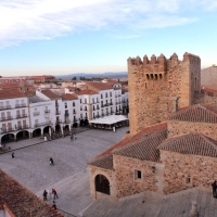 Detenido por transportar a personas en su turismo dentro del estado de alarma