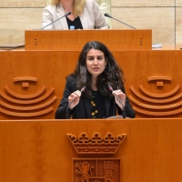 UpE exige a Vergeles que dote a los sanitarios de medidas de protección