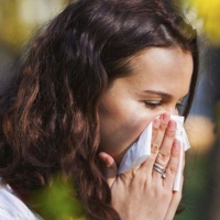 SES: Novedades para alérgicos y asmáticos por la crisis del Coronavirus