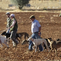 Sorteados 496 permisos de caza en terrenos públicos para 2020