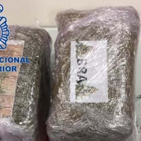 Detenido en Cáceres al bajar de un autobús con una riñonera llena de hachís