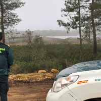 Detenido un vecino que robaba materiales de una planta fotovoltaica extremeña