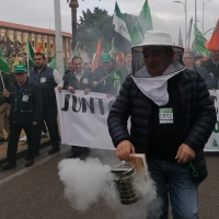 El coronavirus obliga a cancelar la manifestación de los apicultores en Madrid