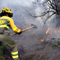 USO: “Los 800 bomberos forestales de la Junta rozan el esclavismo moderno”