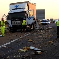 Delegación: 0 muertes en las carreteras y 3.379 multas en Extremadura