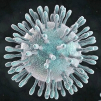 ESPAÑA: 738 fallecidos más por coronavirus en un solo día