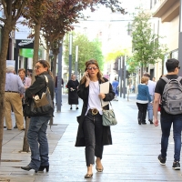 CSIF pide a la Junta suspender las zonas de gran afluencia durante el Estado de Alarma