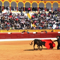 La Unión de Toreros quiere que la feria de Olivenza sea Fiesta Nacional