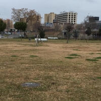 SOS Casco Antiguo recuerda al concejal de Parques sus “deudas pendientes”