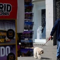 España suma 2.538 casos más en 24 horas