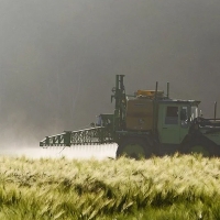 España es el país europeo con mayor consumo de pesticidas, según Ecologistas