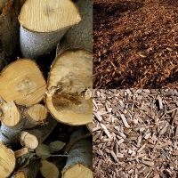 Agricultura apuesta por la biomasa forestal en Extremadura