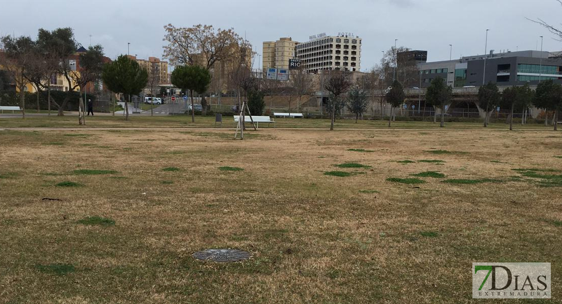 SOS Casco Antiguo le recuerda al concejal de Parques sus “deudas pendientes”