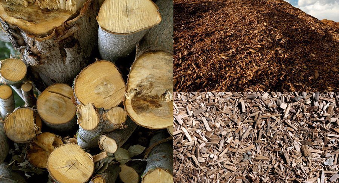 Agricultura apuesta por la biomasa forestal en Extremadura