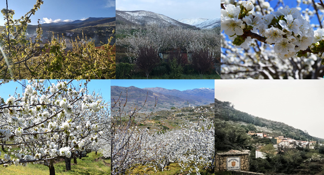 Si no puedes ir Valle del Jerte, él irá a tu ventana