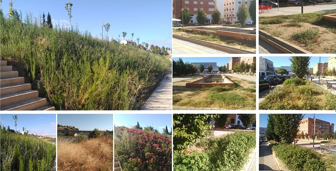 Badajoz reanuda los trabajos en parques y jardines