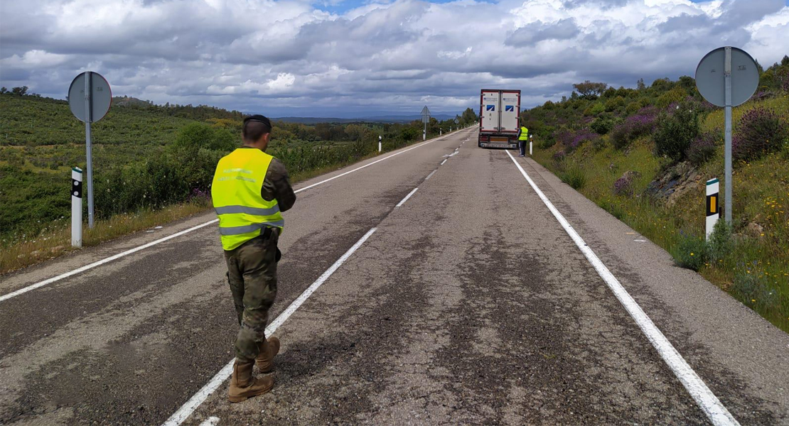 GALERÍA - Despliegue de la Brigada “Extremadura” XI