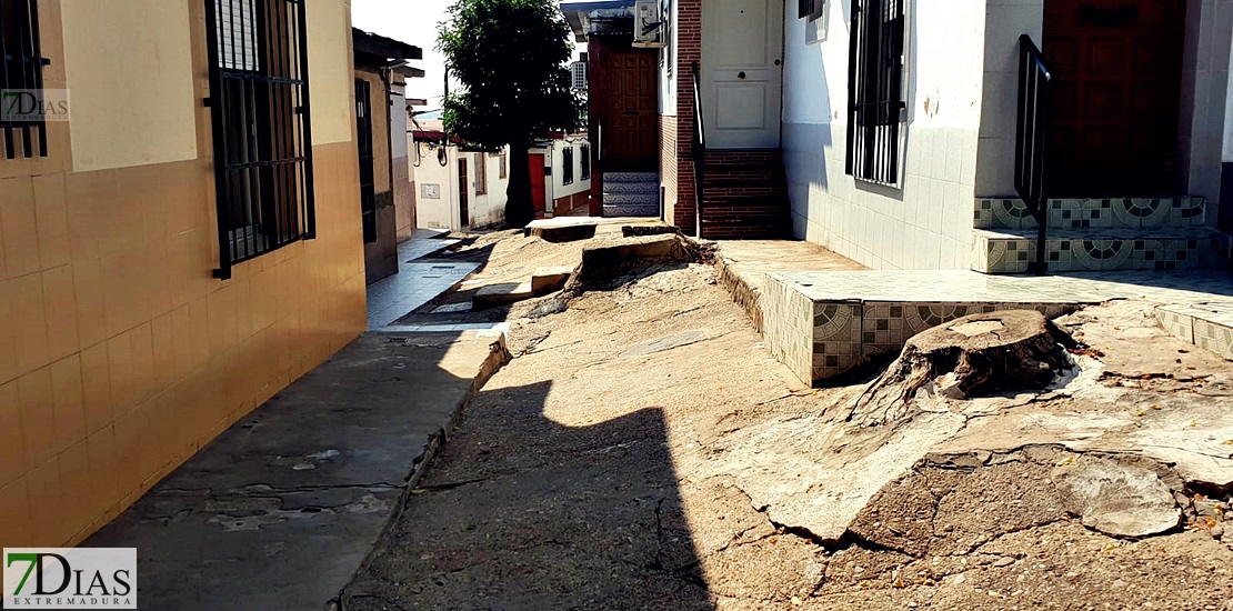 UpE solicita ayuda para las 40 familias sin luz de &#39;Las 800&#39; de Badajoz