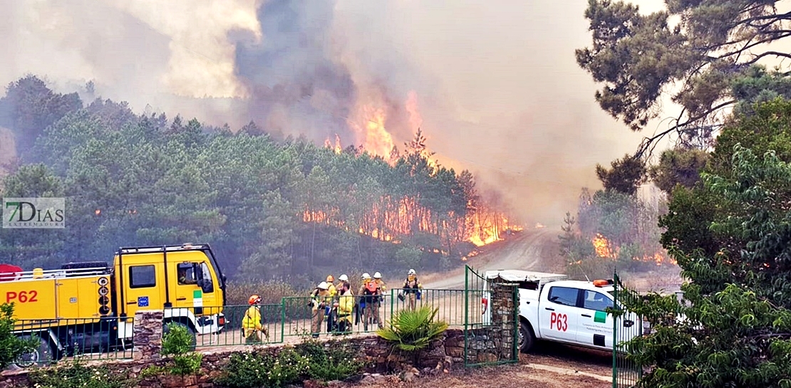 SGTEX traslada a Agricultura su preocupación por los bomberos forestales